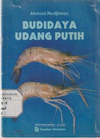 Budidaya Udang Putih