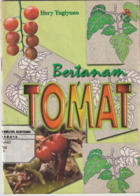 Bertanam Tomat