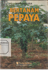 Bertanam Pepaya