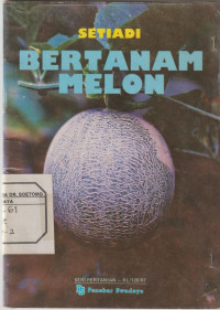 Bertanam Melon