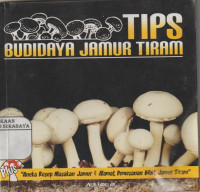 Tips Budidaya Jamur Tiram