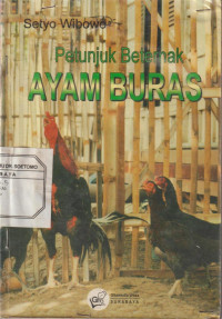 Petunjuk Beternak Ayam Buras